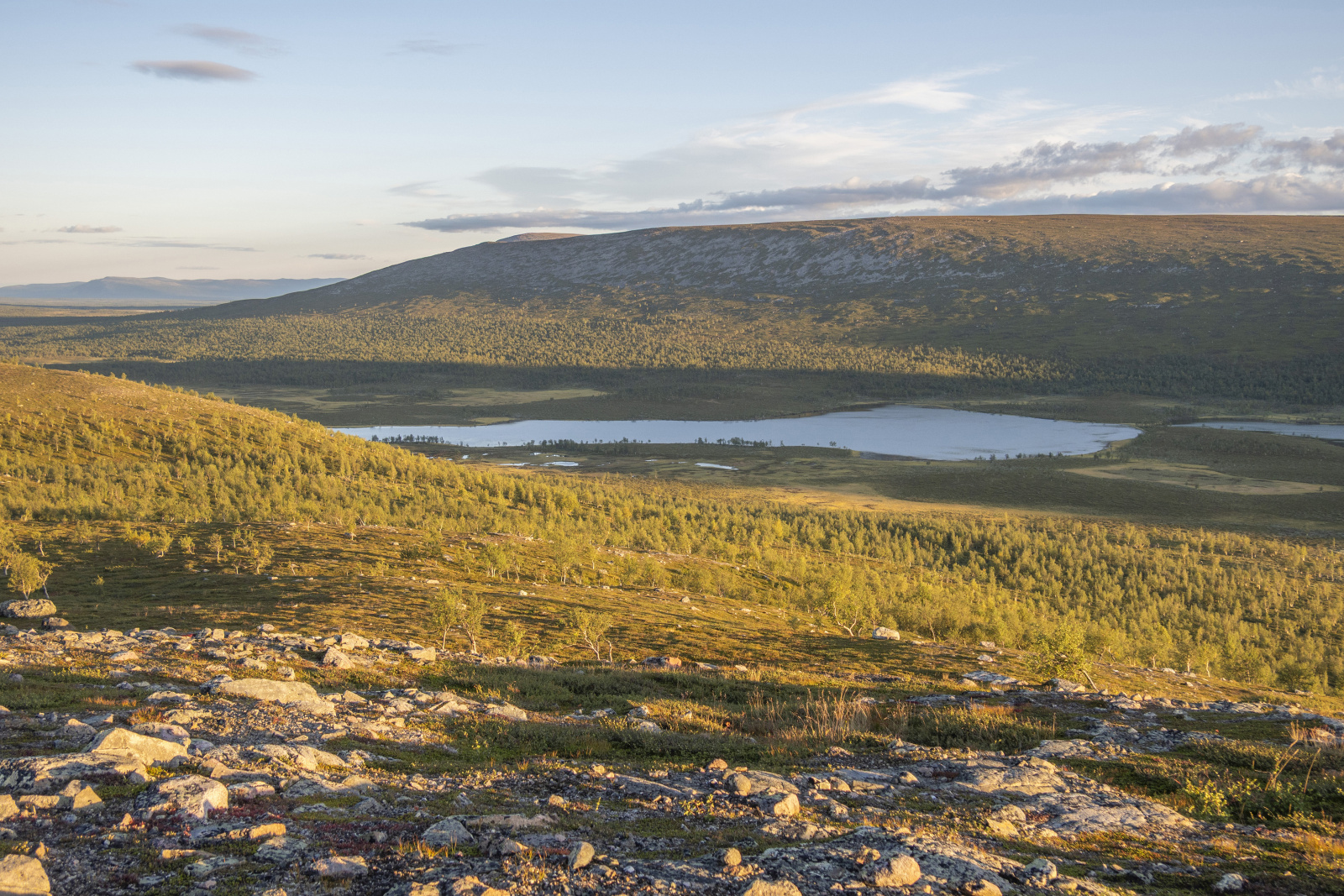 Klicke auf die Grafik für eine vergrößerte Ansicht

Name: Sjaunja_2025_294.jpg
Ansichten: 58
Größe: 1,07 MB
ID: 3363231