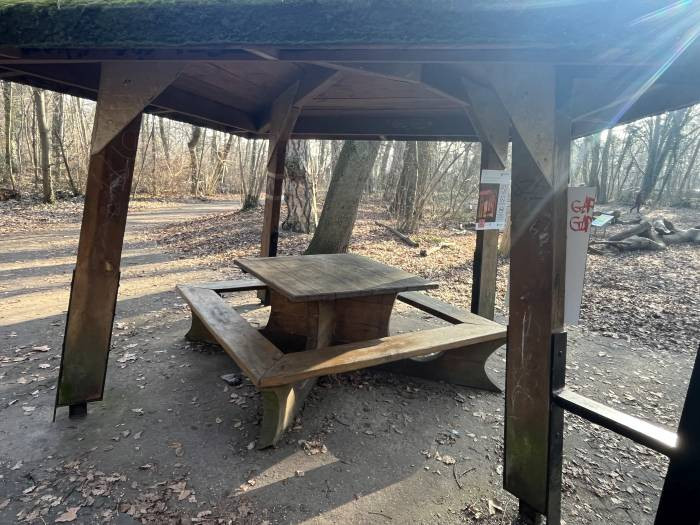 Klicke auf die Grafik für eine vergrößerte Ansicht

Name: IMG_9506.jpg
Ansichten: 0
Größe: 119,4 KB
ID: 3363292