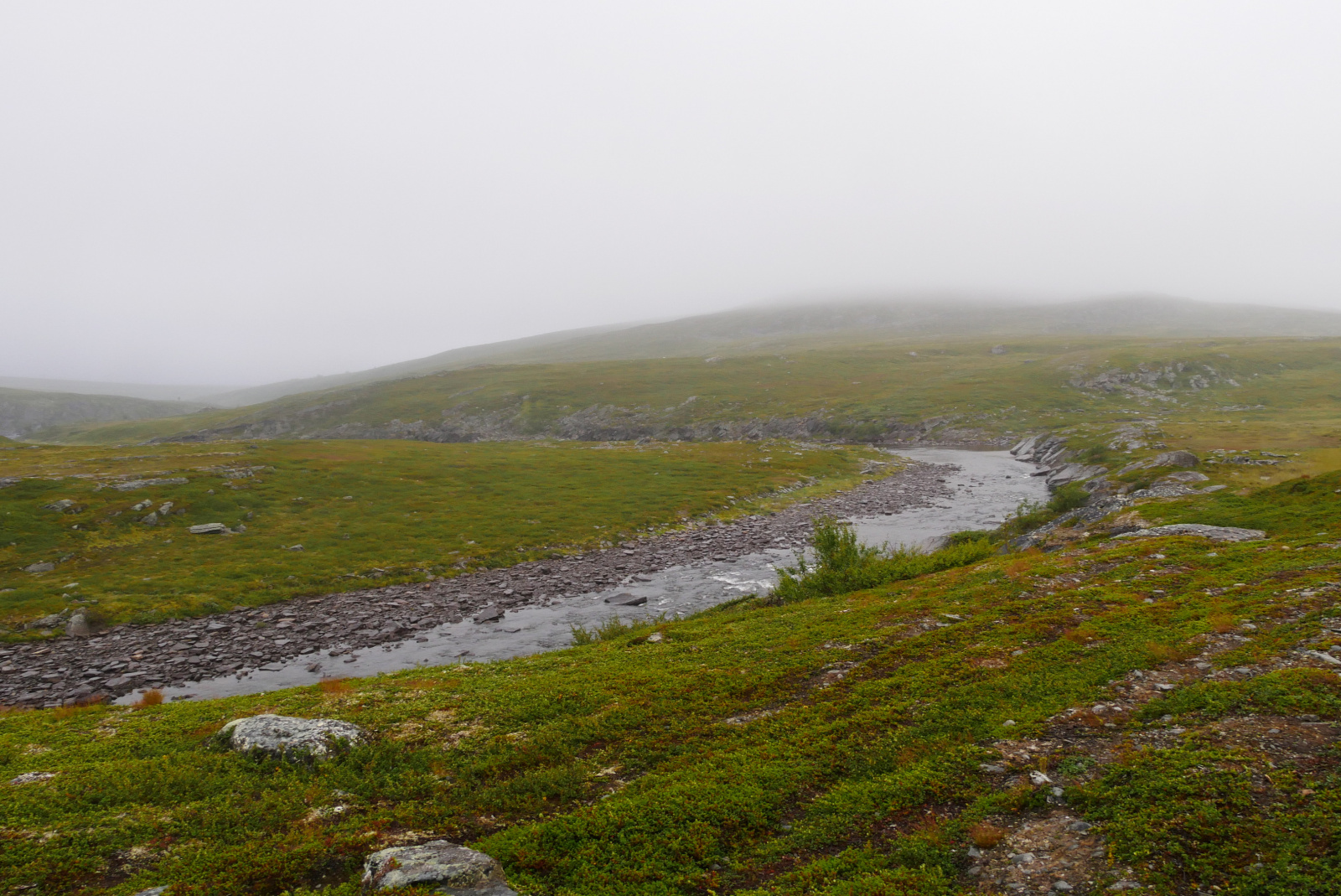 Klicke auf die Grafik für eine vergrößerte Ansicht

Name: P1070377.jpg
Ansichten: 34
Größe: 770,1 KB
ID: 3363323