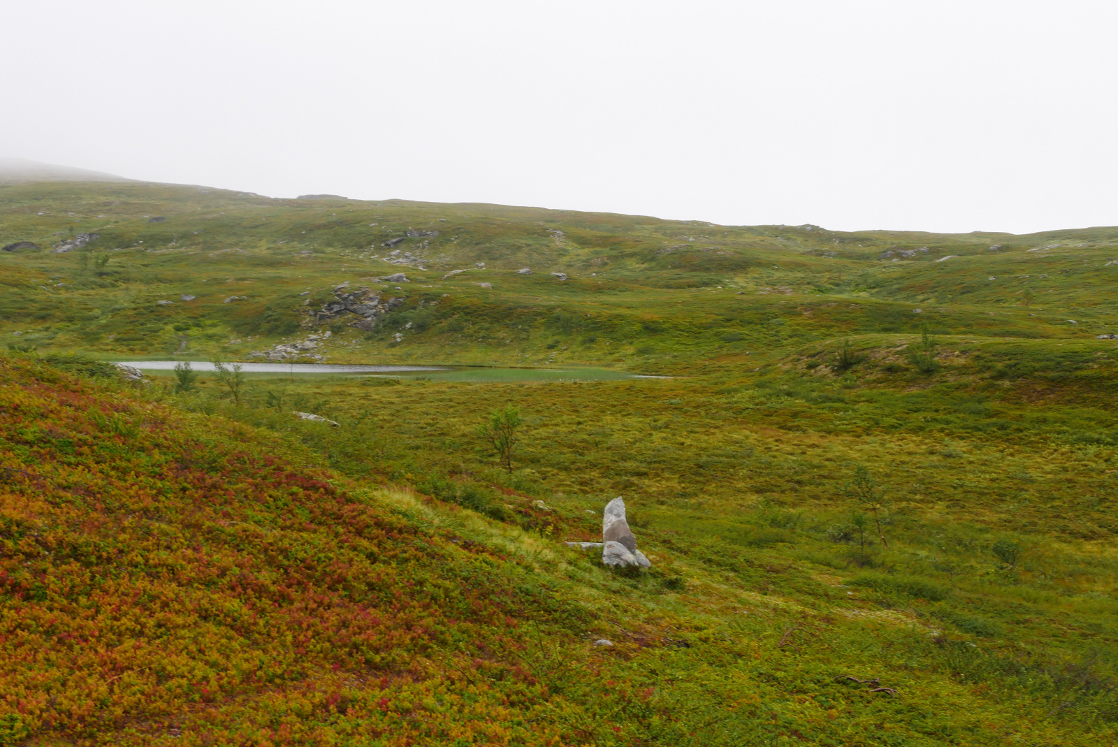 Klicke auf die Grafik für eine vergrößerte Ansicht

Name: P1070379.jpg
Ansichten: 34
Größe: 836,5 KB
ID: 3363325