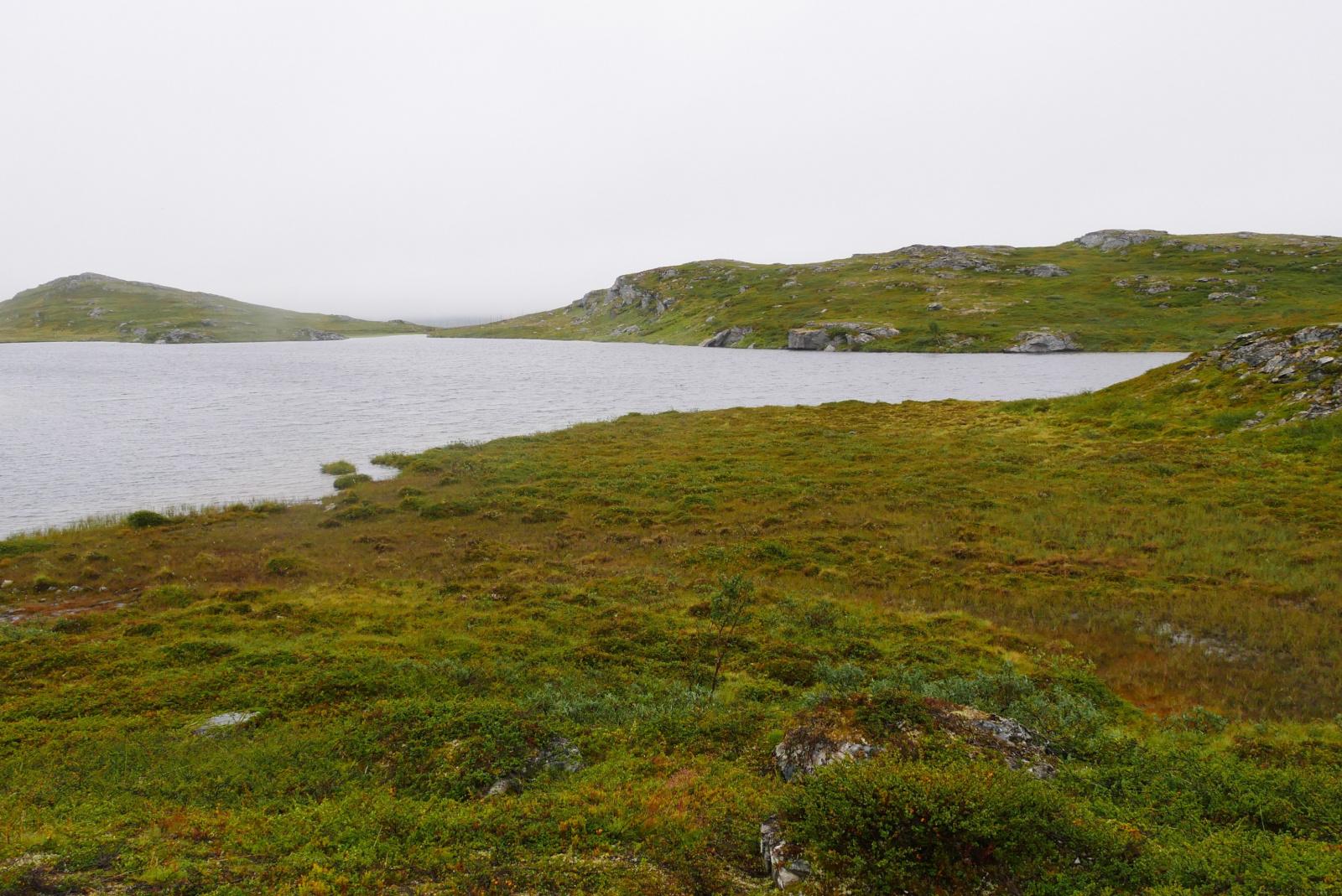 Klicke auf die Grafik für eine vergrößerte Ansicht

Name: p1070380-adjust-horizon_2loq7313_1.jpg
Ansichten: 34
Größe: 827,9 KB
ID: 3363326