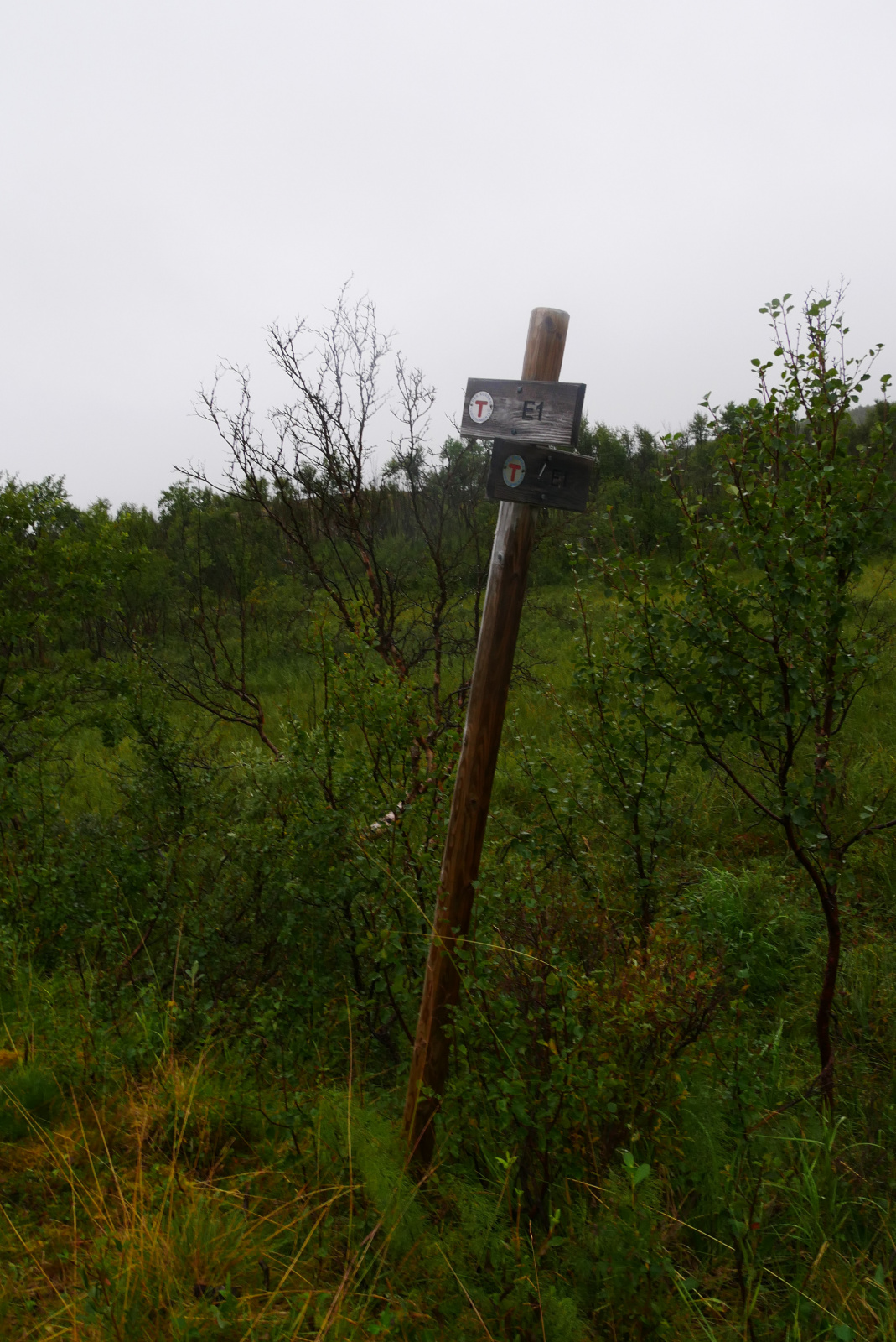 Klicke auf die Grafik für eine vergrößerte Ansicht

Name: P1070382.jpg
Ansichten: 34
Größe: 734,5 KB
ID: 3363328