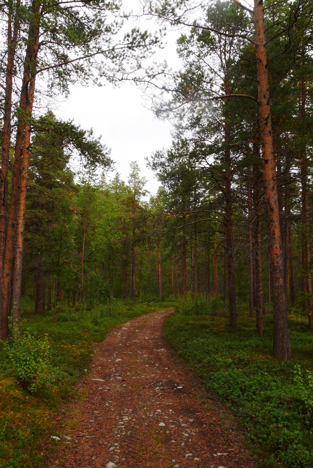 Klicke auf die Grafik für eine vergrößerte Ansicht  Name: P1070409.jpg Ansichten: 81 Größe: 1,11 MB ID: 3363578