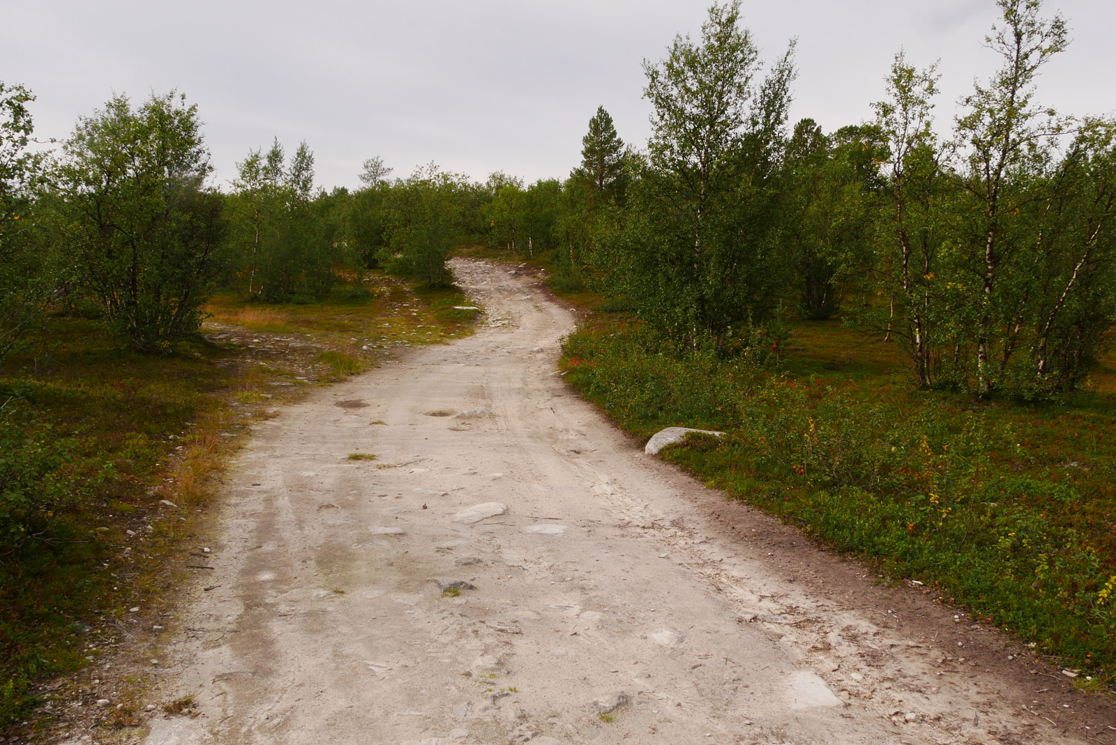 Klicke auf die Grafik für eine vergrößerte Ansicht  Name: P1070410.jpg Ansichten: 78 Größe: 1,00 MB ID: 3363579