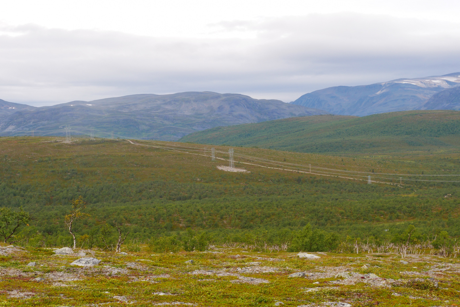 Klicke auf die Grafik für eine vergrößerte Ansicht  Name: P1070412.jpg Ansichten: 78 Größe: 809,7 KB ID: 3363581