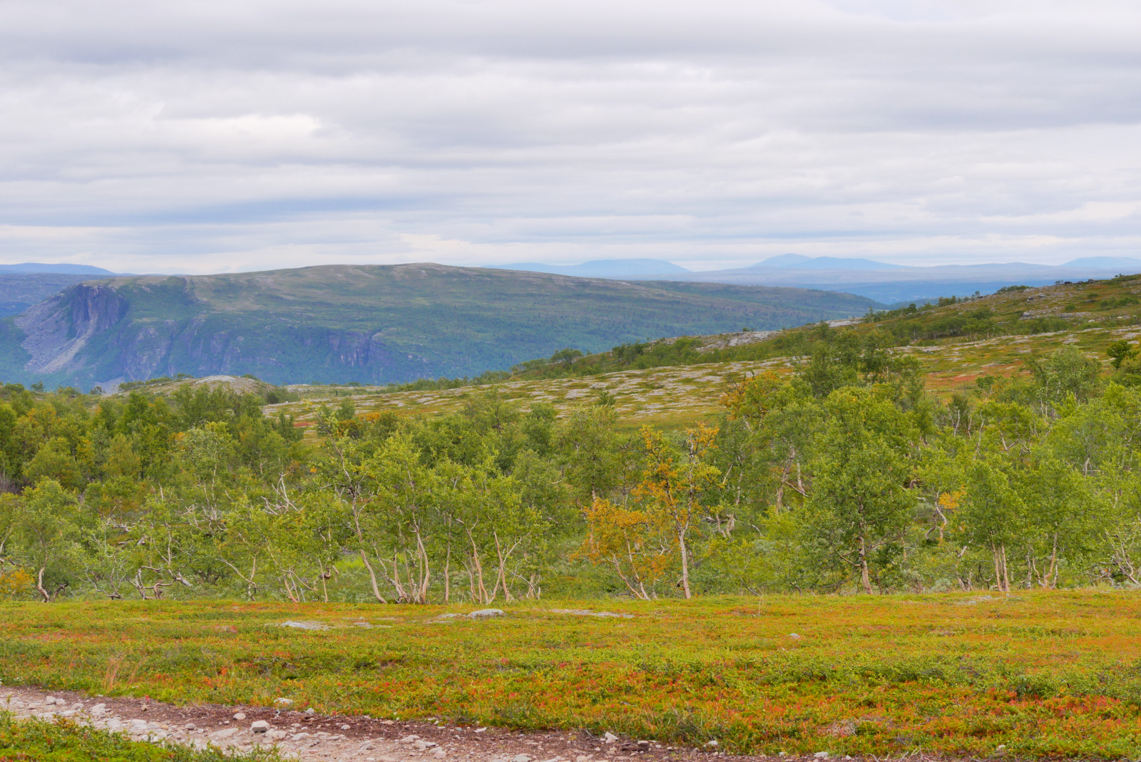 Klicke auf die Grafik für eine vergrößerte Ansicht  Name: P1070414.jpg Ansichten: 77 Größe: 977,8 KB ID: 3363582