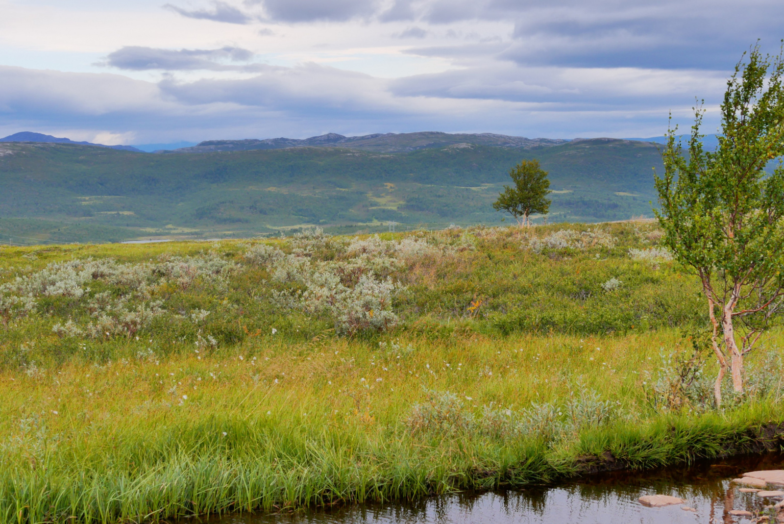 Klicke auf die Grafik für eine vergrößerte Ansicht  Name: p1070415-adjust-horizon_tpx5v9a2_1.jpg Ansichten: 77 Größe: 926,8 KB ID: 3363583