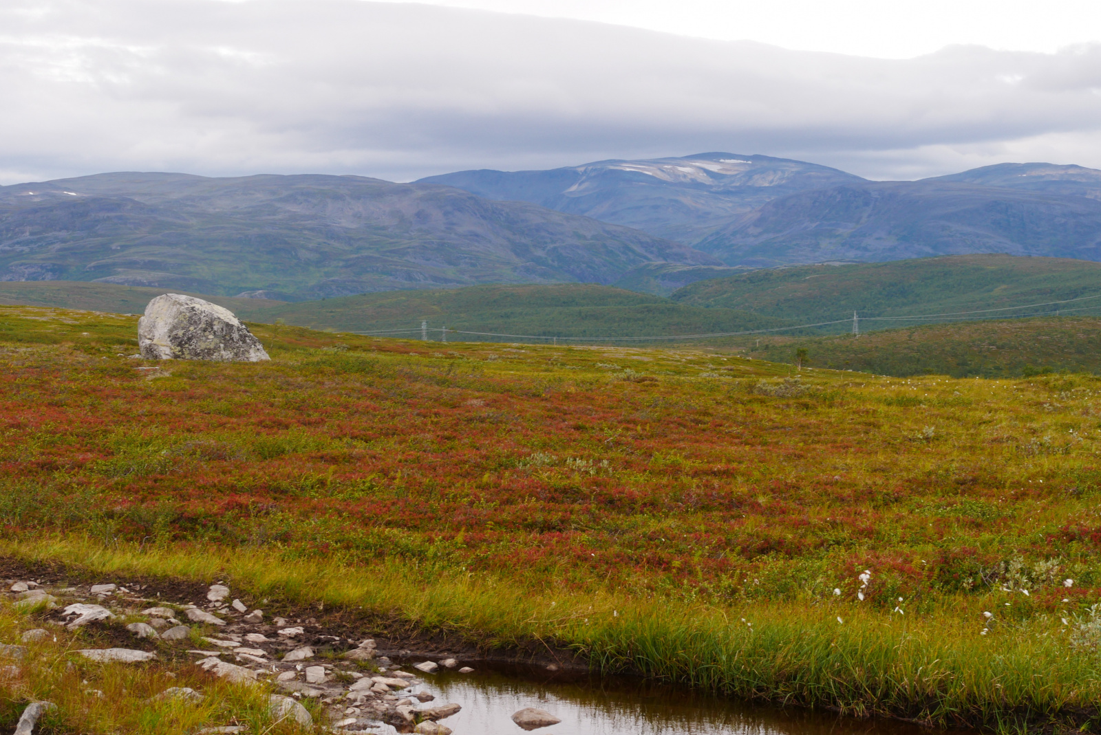 Klicke auf die Grafik für eine vergrößerte Ansicht  Name: P1070416.jpg Ansichten: 75 Größe: 873,8 KB ID: 3363584