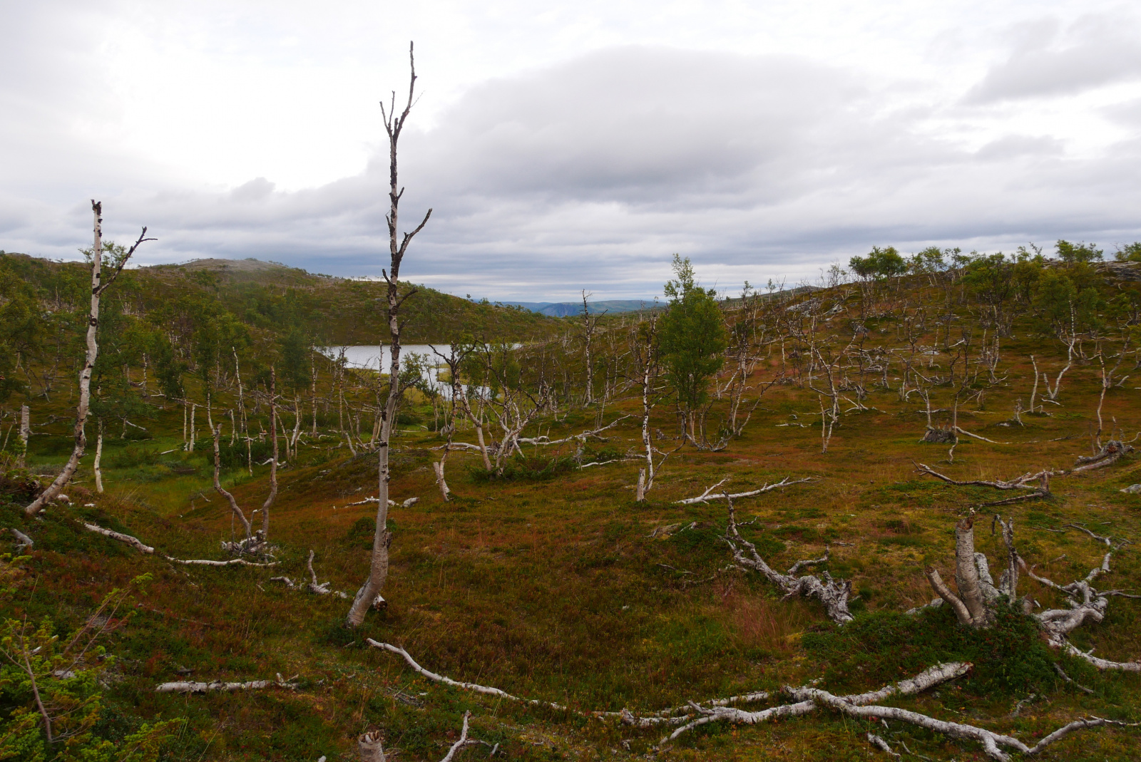 Klicke auf die Grafik für eine vergrößerte Ansicht  Name: P1070417.jpg Ansichten: 75 Größe: 859,4 KB ID: 3363585