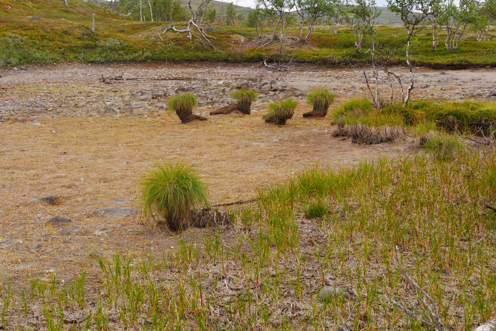 Klicke auf die Grafik für eine vergrößerte Ansicht  Name: P1070419.jpg Ansichten: 77 Größe: 1,48 MB ID: 3363586