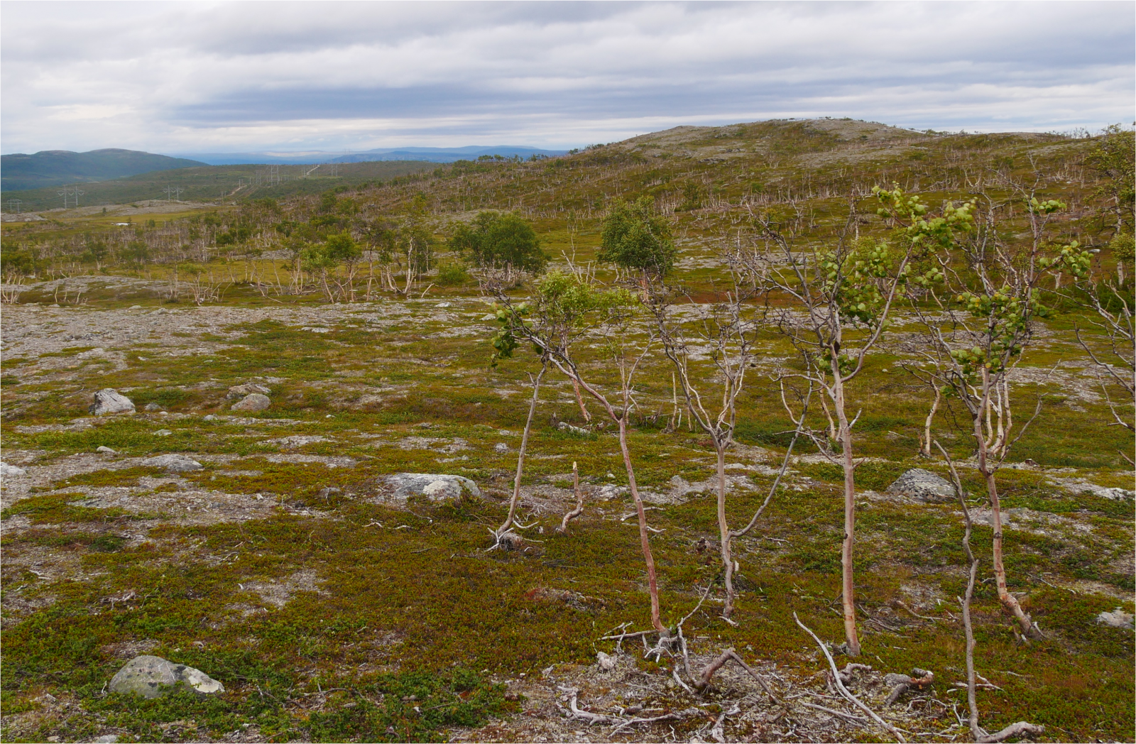 Klicke auf die Grafik für eine vergrößerte Ansicht  Name: p1070420-cut_2lxpoeu6_1.png Ansichten: 75 Größe: 3,53 MB ID: 3363587