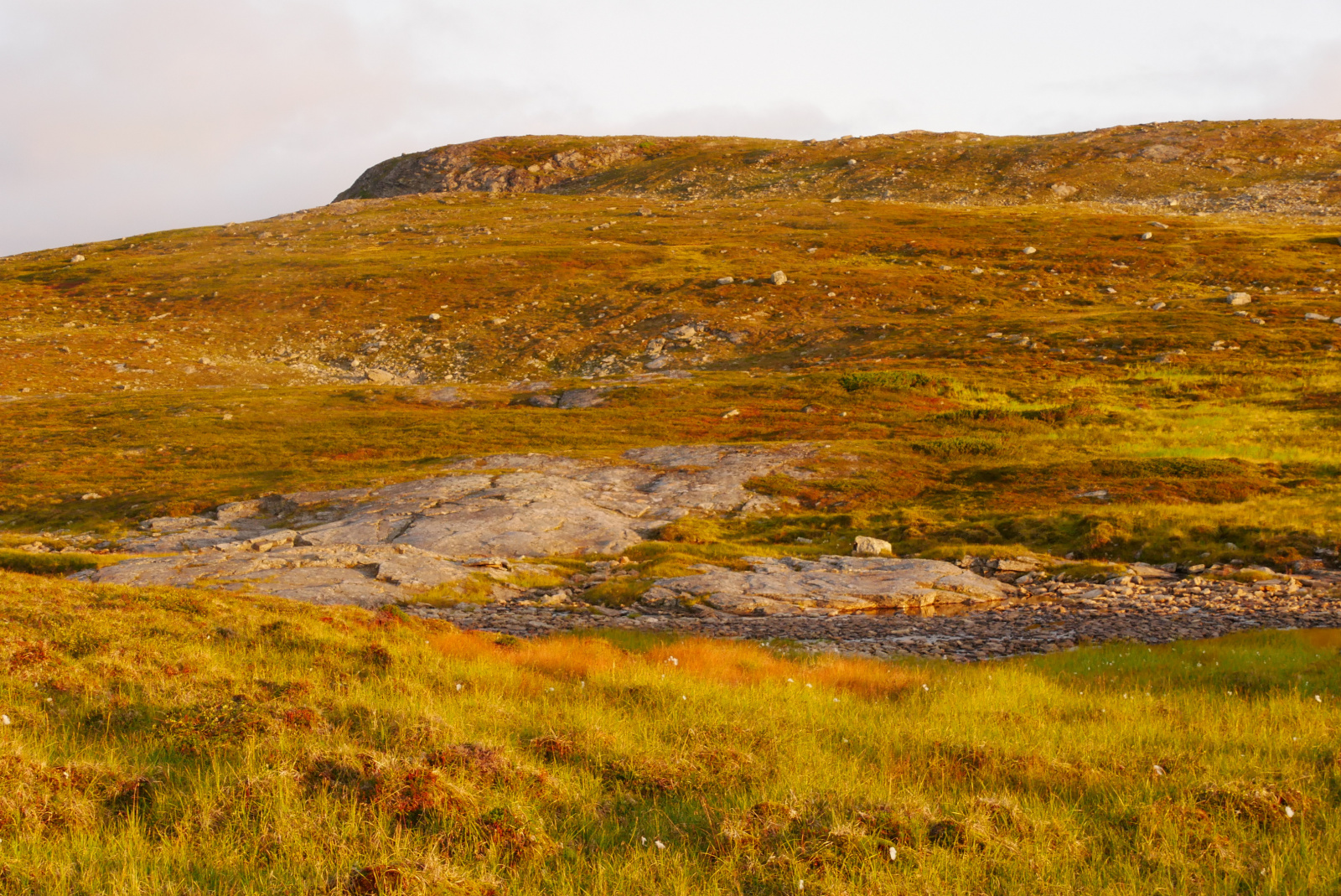 Klicke auf die Grafik für eine vergrößerte Ansicht

Name: P1070429.jpg
Ansichten: 0
Größe: 1,13 MB
ID: 3363672