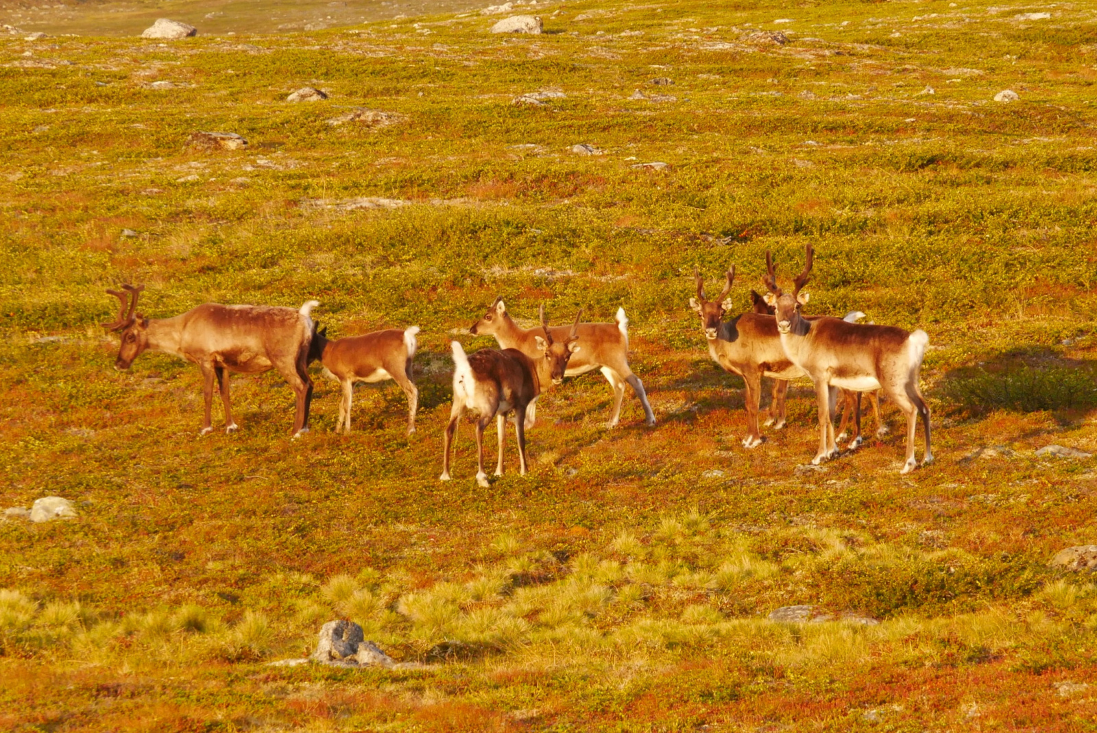 Klicke auf die Grafik für eine vergrößerte Ansicht

Name: P1070432.jpg
Ansichten: 0
Größe: 1,19 MB
ID: 3363673