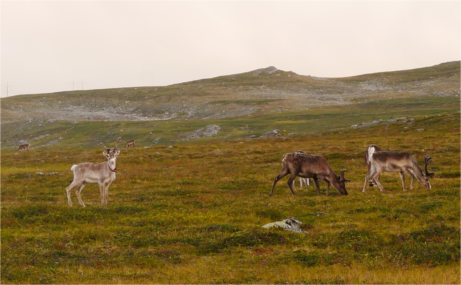 Klicke auf die Grafik für eine vergrößerte Ansicht

Name: p1070433-cut_5ag7clmw_1.png
Ansichten: 0
Größe: 2,28 MB
ID: 3363674