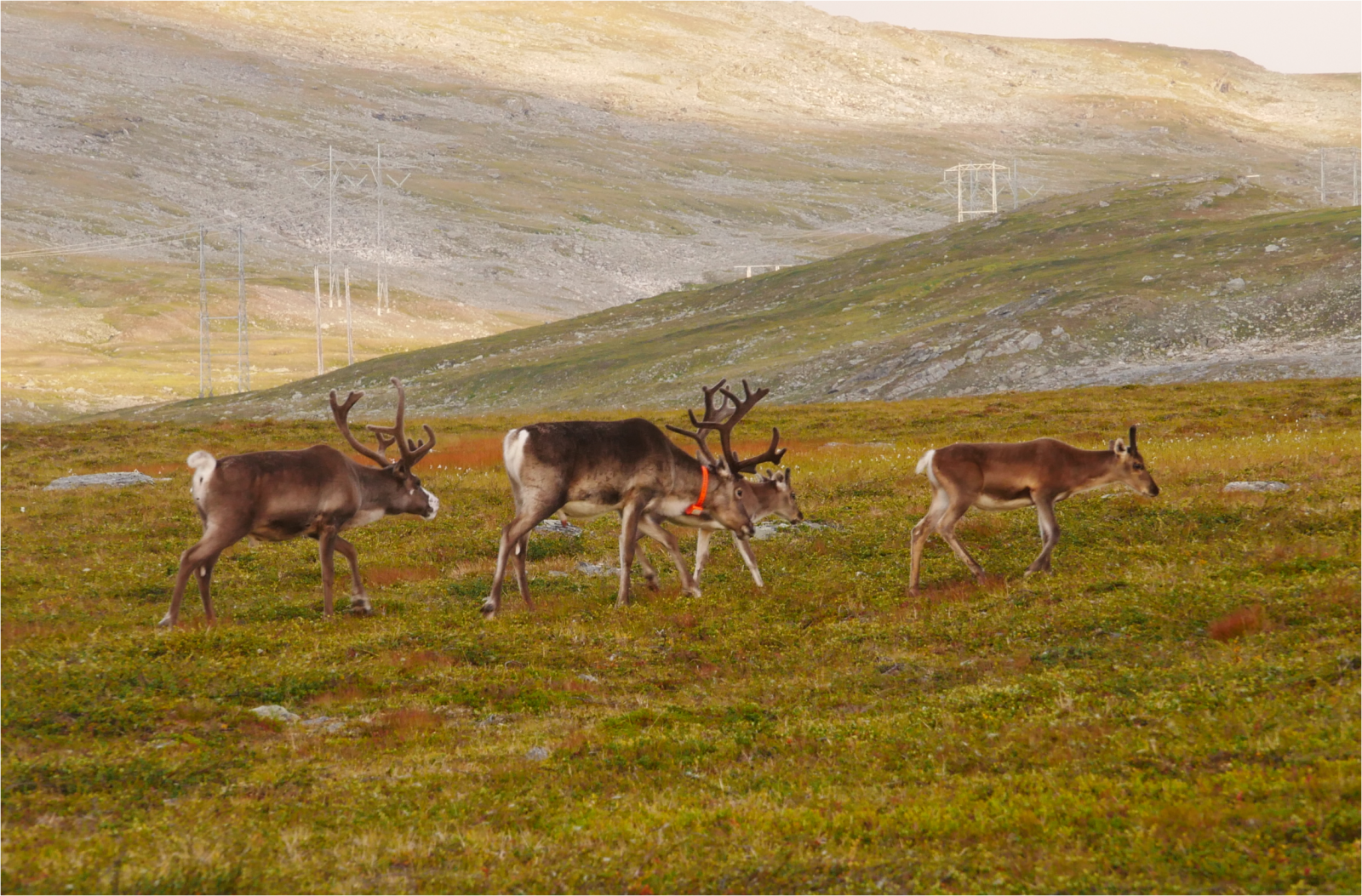 Klicke auf die Grafik für eine vergrößerte Ansicht

Name: p1070434-cut_47xjsdsi_1.png
Ansichten: 0
Größe: 2,94 MB
ID: 3363675