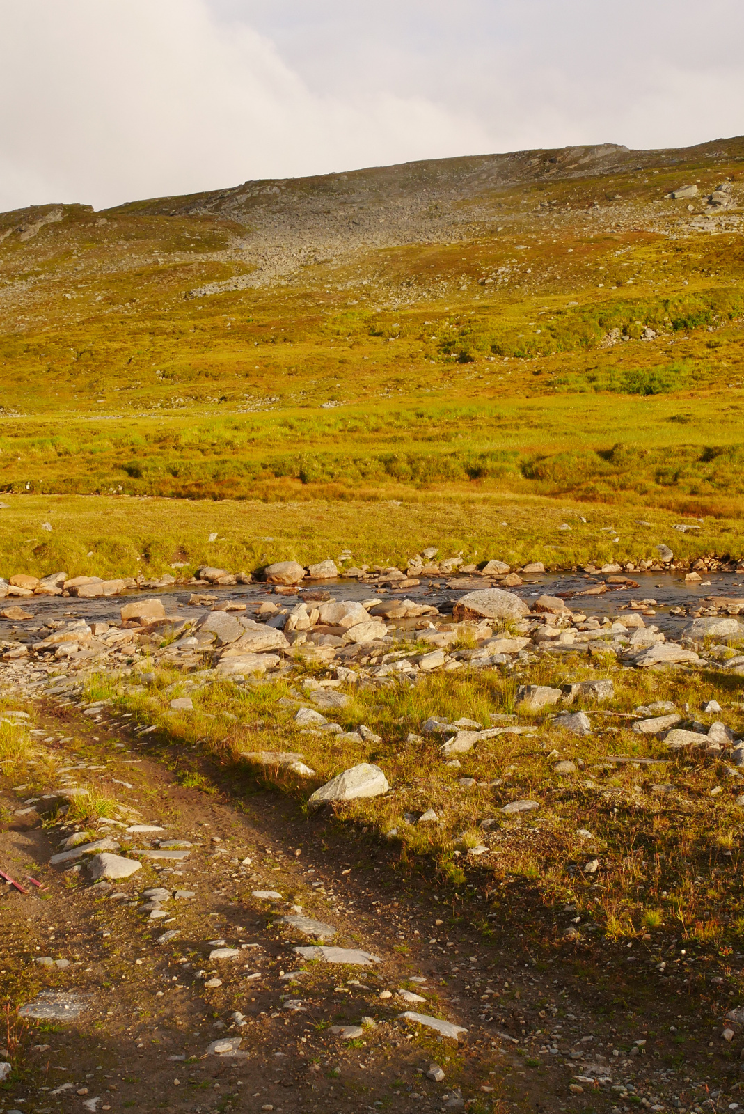 Klicke auf die Grafik für eine vergrößerte Ansicht

Name: P1070436.jpg
Ansichten: 0
Größe: 1,15 MB
ID: 3363676