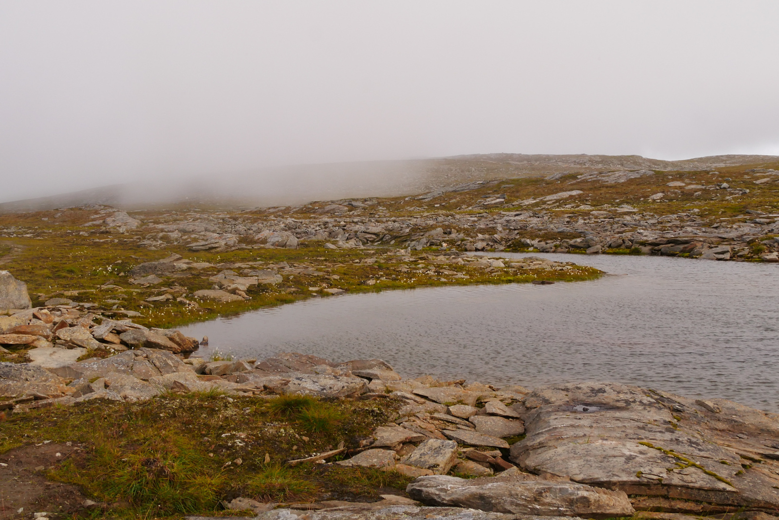 Klicke auf die Grafik für eine vergrößerte Ansicht

Name: P1070437.jpg
Ansichten: 0
Größe: 753,5 KB
ID: 3363677