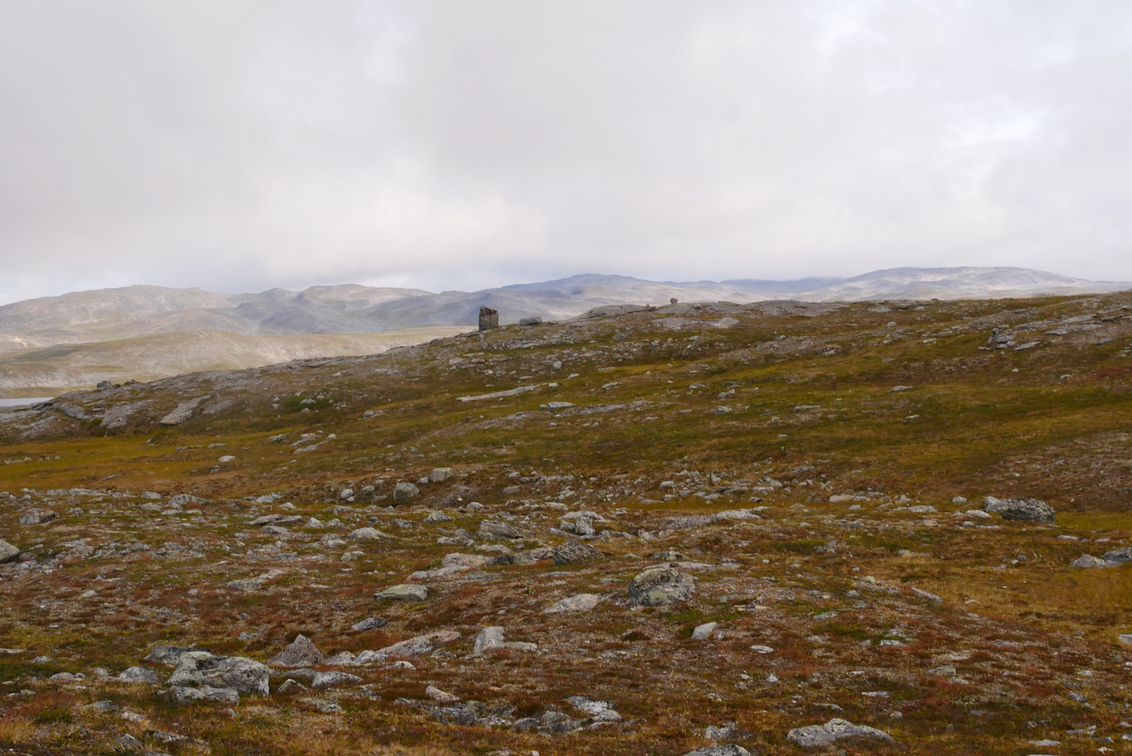 Klicke auf die Grafik für eine vergrößerte Ansicht

Name: P1070438.jpg
Ansichten: 0
Größe: 691,2 KB
ID: 3363678