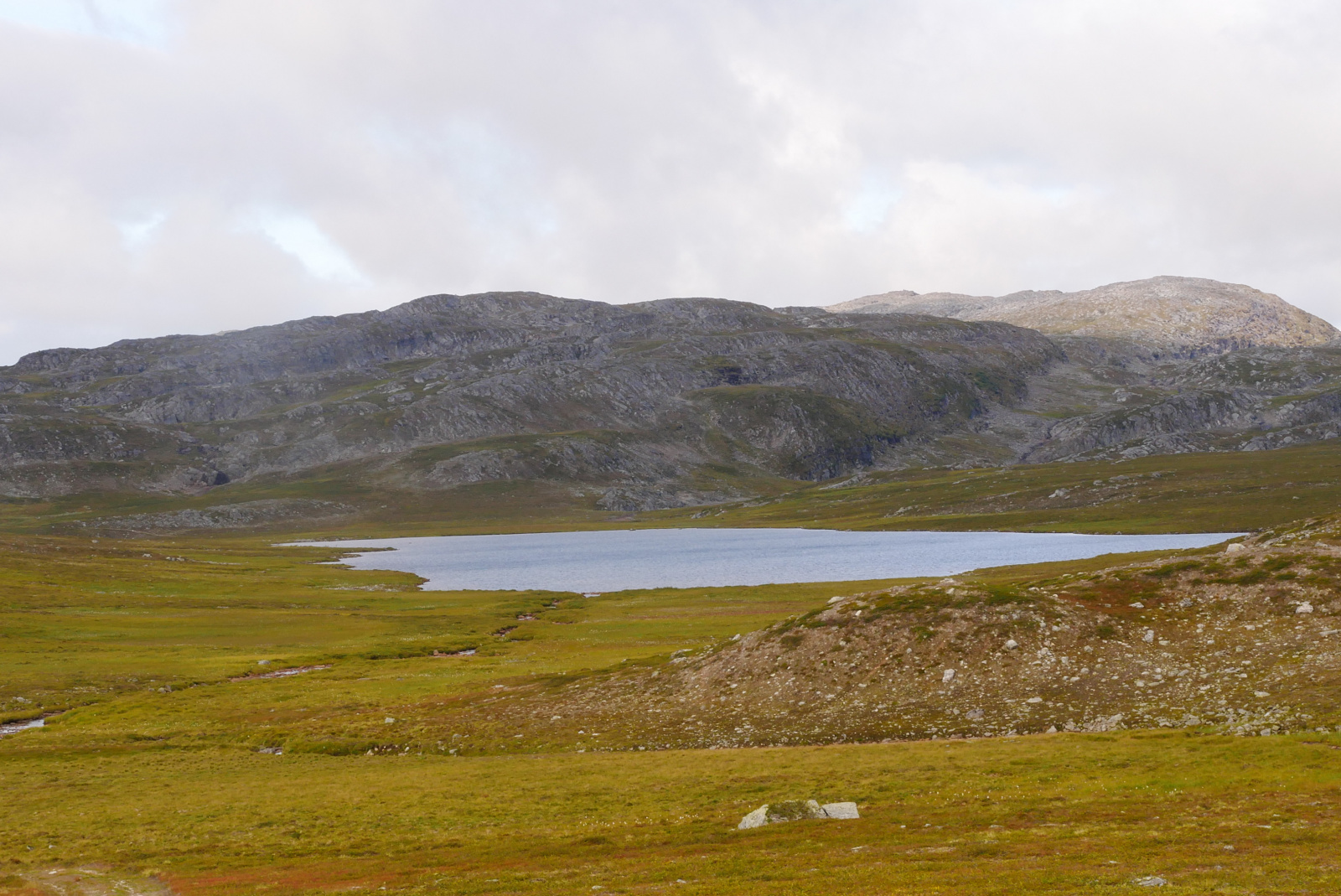 Klicke auf die Grafik für eine vergrößerte Ansicht

Name: P1070440.jpg
Ansichten: 0
Größe: 677,9 KB
ID: 3363679