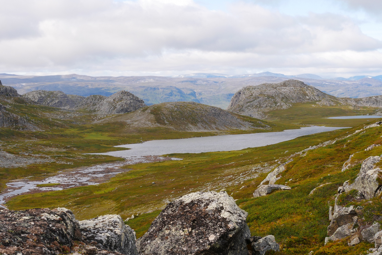 Klicke auf die Grafik für eine vergrößerte Ansicht

Name: P1070442.jpg
Ansichten: 0
Größe: 860,9 KB
ID: 3363680