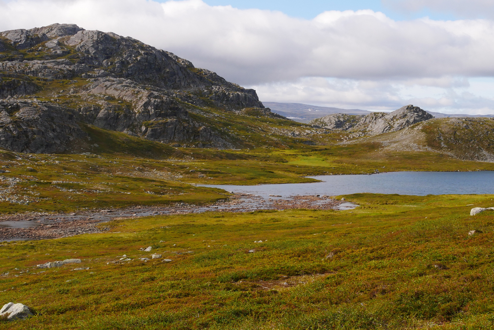 Klicke auf die Grafik für eine vergrößerte Ansicht

Name: P1070443.jpg
Ansichten: 0
Größe: 1,04 MB
ID: 3363681