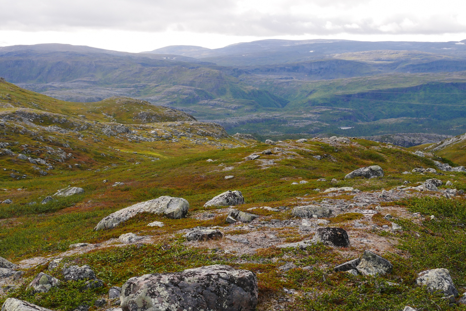 Klicke auf die Grafik für eine vergrößerte Ansicht

Name: P1070444.jpg
Ansichten: 0
Größe: 1,07 MB
ID: 3363682