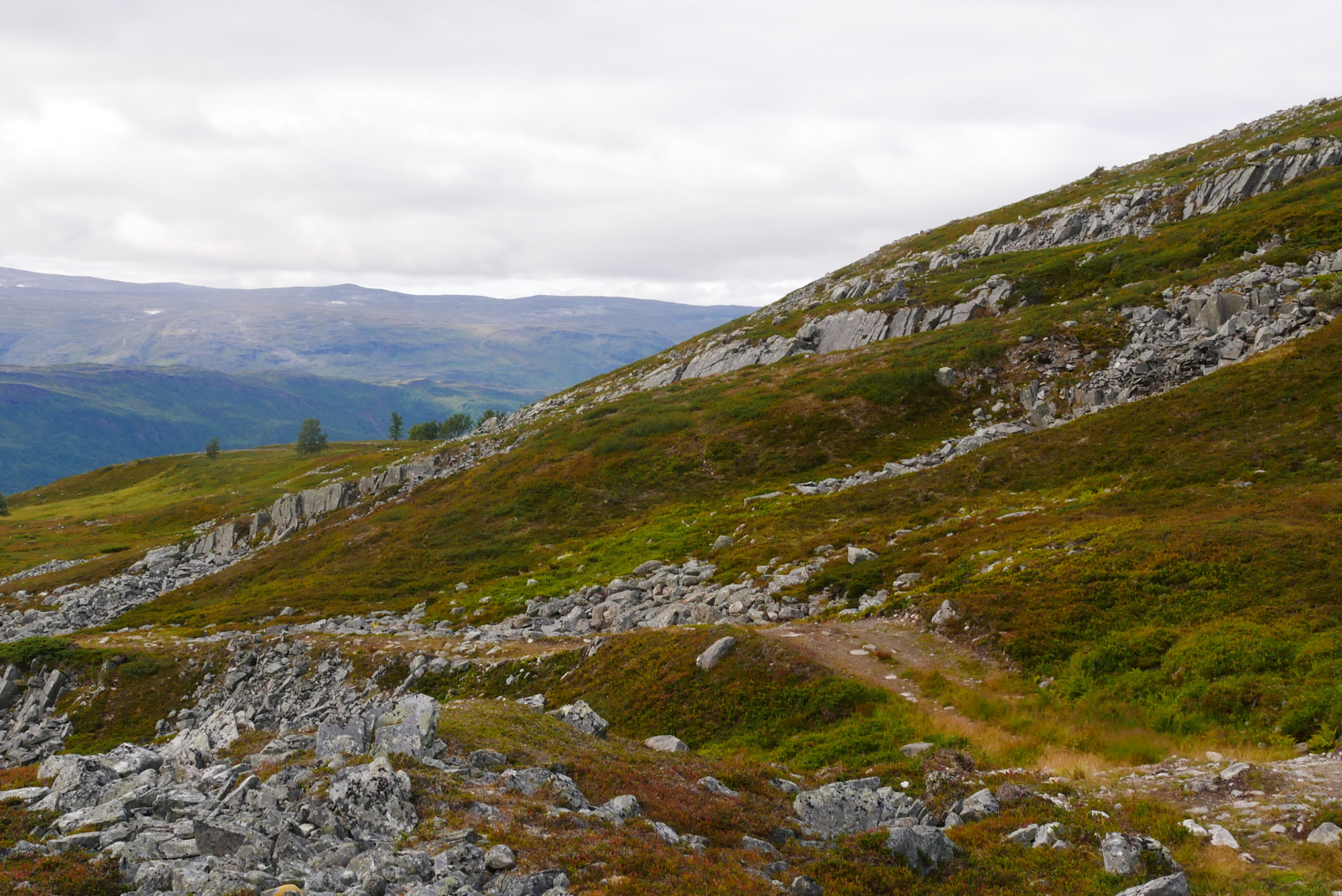 Klicke auf die Grafik für eine vergrößerte Ansicht

Name: P1070445.jpg
Ansichten: 0
Größe: 879,5 KB
ID: 3363683