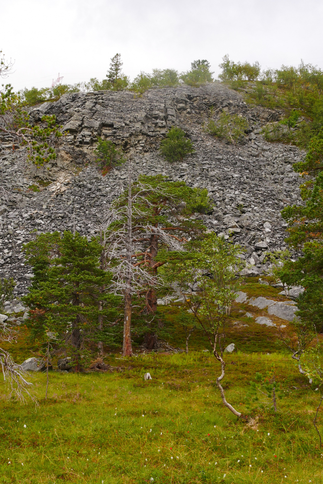 Klicke auf die Grafik für eine vergrößerte Ansicht

Name: P1070448.jpg
Ansichten: 0
Größe: 1,20 MB
ID: 3363684