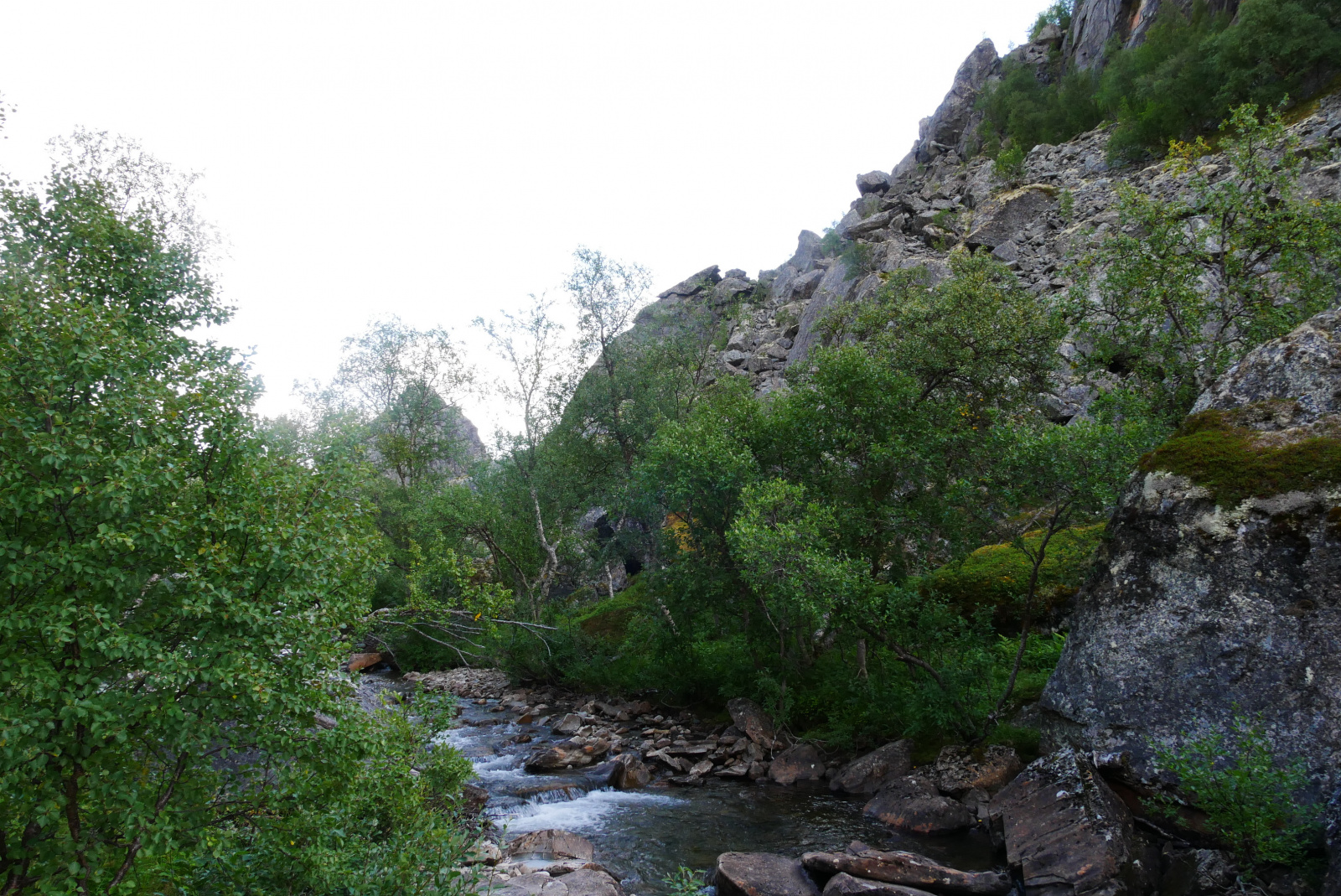 Klicke auf die Grafik für eine vergrößerte Ansicht

Name: P1070451.jpg
Ansichten: 0
Größe: 984,2 KB
ID: 3363685