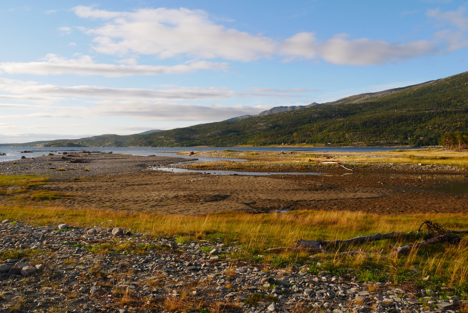 Klicke auf die Grafik für eine vergrößerte Ansicht

Name: p1070462-adjust-horizon_n2vk5soe_1.jpg
Ansichten: 0
Größe: 907,5 KB
ID: 3363687