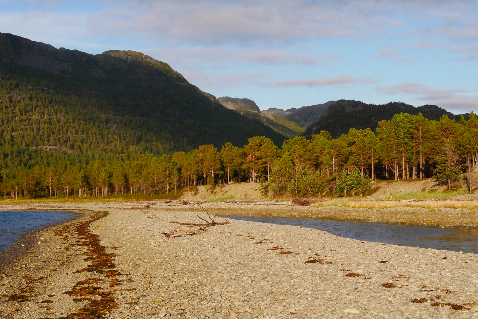 Klicke auf die Grafik für eine vergrößerte Ansicht

Name: P1070464.jpg
Ansichten: 0
Größe: 957,7 KB
ID: 3363688