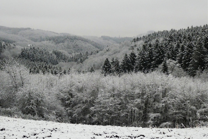 Klicke auf die Grafik für eine vergrößerte Ansicht

Name: 1.jpg
Ansichten: 81
Größe: 789,9 KB
ID: 3363977