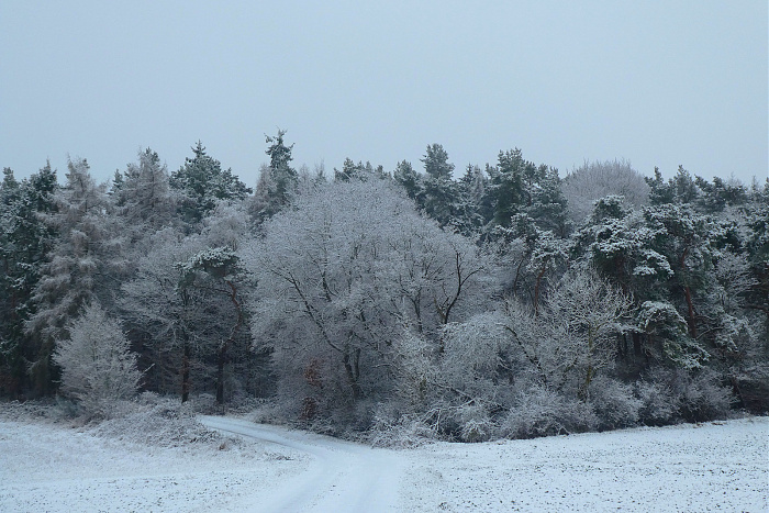 Klicke auf die Grafik für eine vergrößerte Ansicht

Name: 5.jpg
Ansichten: 80
Größe: 893,7 KB
ID: 3363981