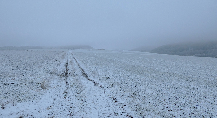 Klicke auf die Grafik für eine vergrößerte Ansicht

Name: 8.jpg
Ansichten: 80
Größe: 560,1 KB
ID: 3363984