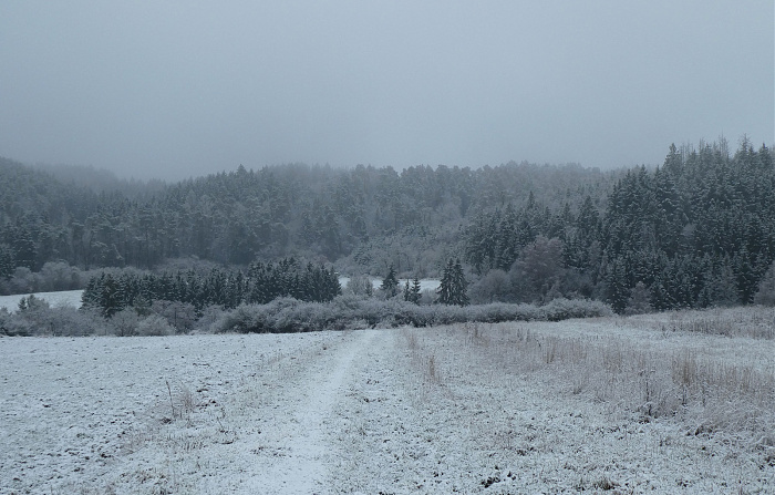 Klicke auf die Grafik für eine vergrößerte Ansicht

Name: 10.jpg
Ansichten: 80
Größe: 699,4 KB
ID: 3363985