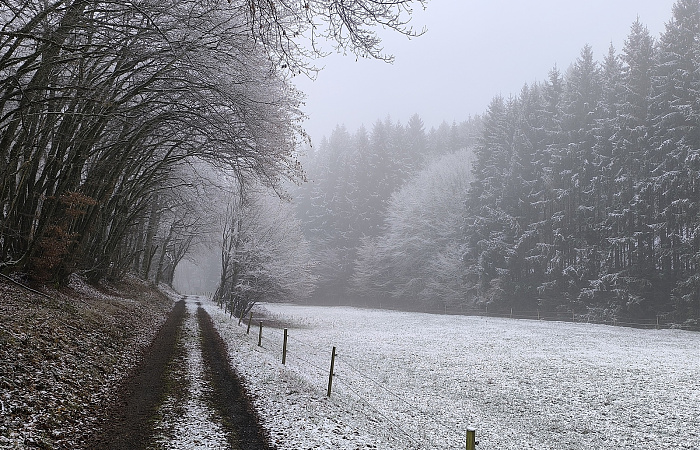 Klicke auf die Grafik für eine vergrößerte Ansicht

Name: 12.jpg
Ansichten: 78
Größe: 1,13 MB
ID: 3363987