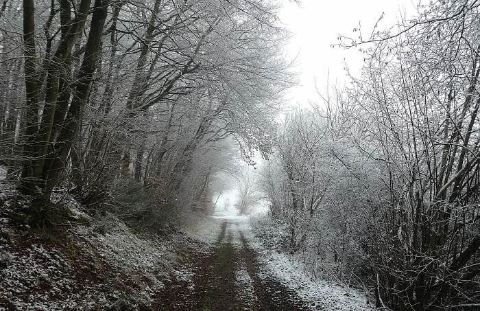 Klicke auf die Grafik für eine vergrößerte Ansicht

Name: 13.jpg
Ansichten: 80
Größe: 1,25 MB
ID: 3363988