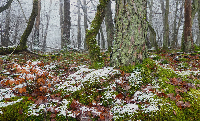 Klicke auf die Grafik für eine vergrößerte Ansicht

Name: 16.jpg
Ansichten: 79
Größe: 1,31 MB
ID: 3363991