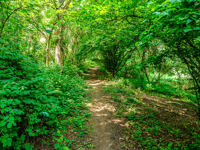 Klicke auf die Grafik für eine vergrößerte Ansicht

Name: Bild -9.jpg
Ansichten: 6
Größe: 1,90 MB
ID: 3364015