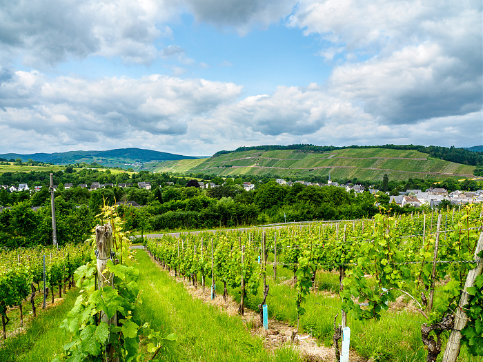 Klicke auf die Grafik für eine vergrößerte Ansicht

Name: Bild -12.jpg
Ansichten: 6
Größe: 1.005,7 KB
ID: 3364016