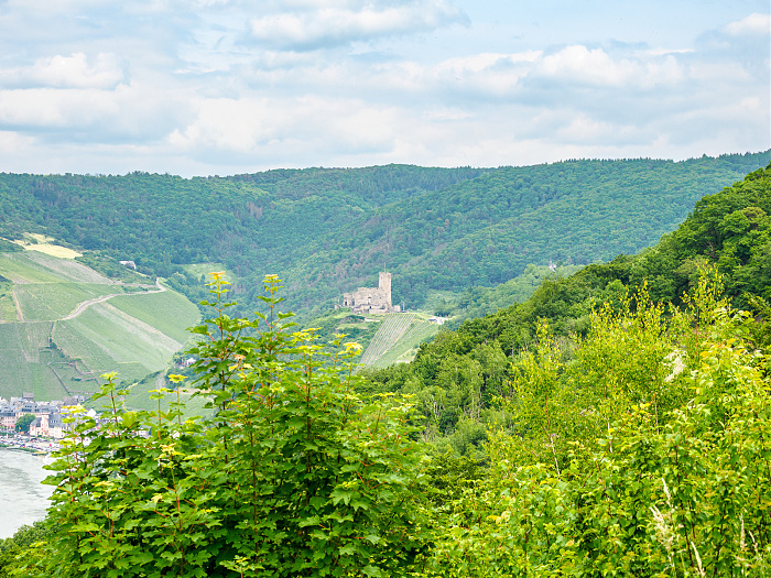 Klicke auf die Grafik für eine vergrößerte Ansicht

Name: Bild -18.jpg
Ansichten: 6
Größe: 1.017,7 KB
ID: 3364020