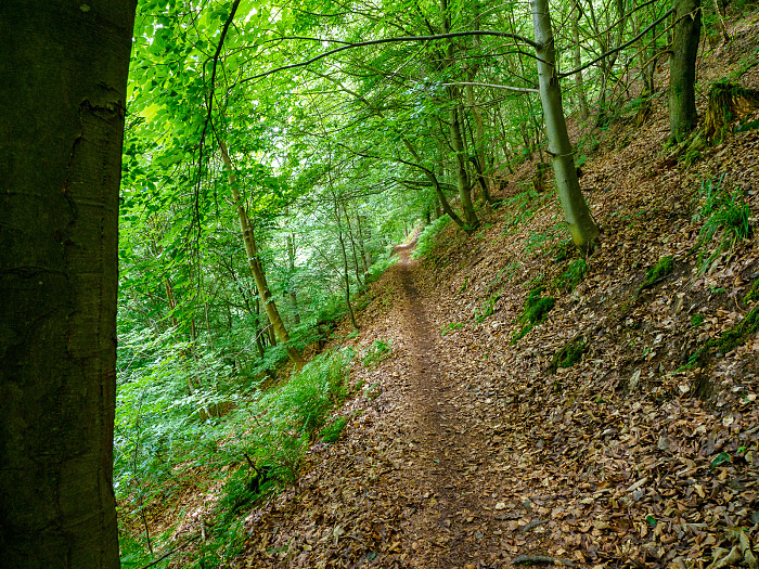 Klicke auf die Grafik für eine vergrößerte Ansicht

Name: Bild -19.jpg
Ansichten: 6
Größe: 1,46 MB
ID: 3364023