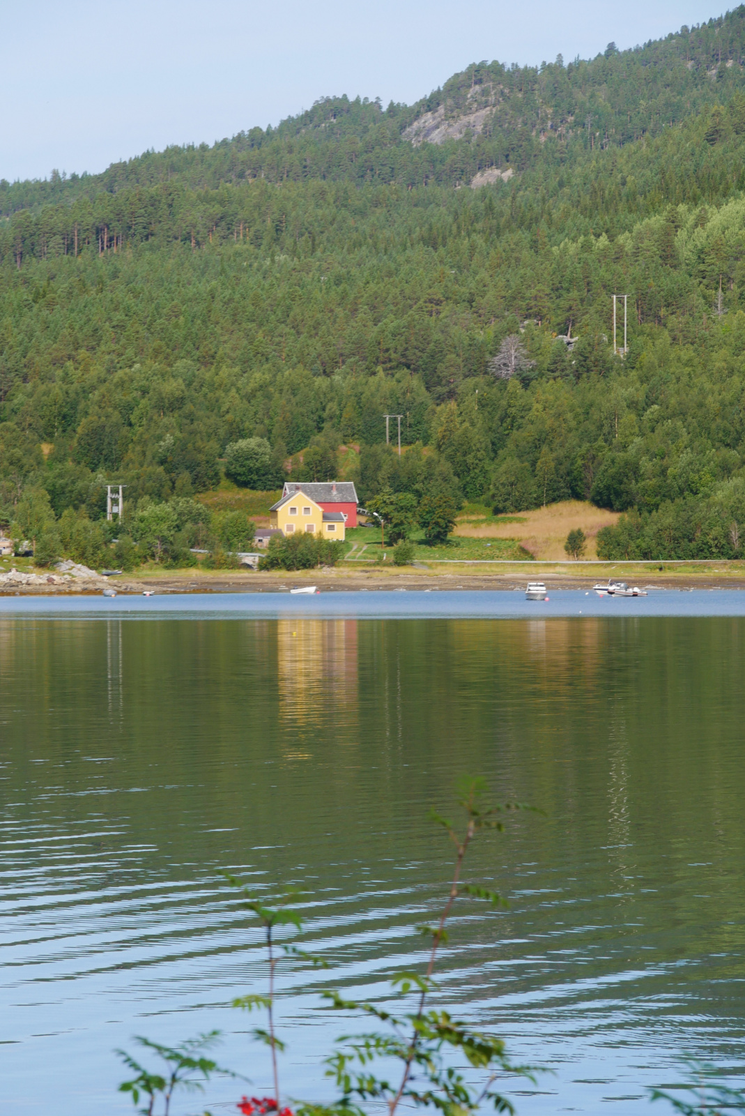 Klicke auf die Grafik für eine vergrößerte Ansicht

Name: P1070488.jpg
Ansichten: 151
Größe: 788,5 KB
ID: 3364126