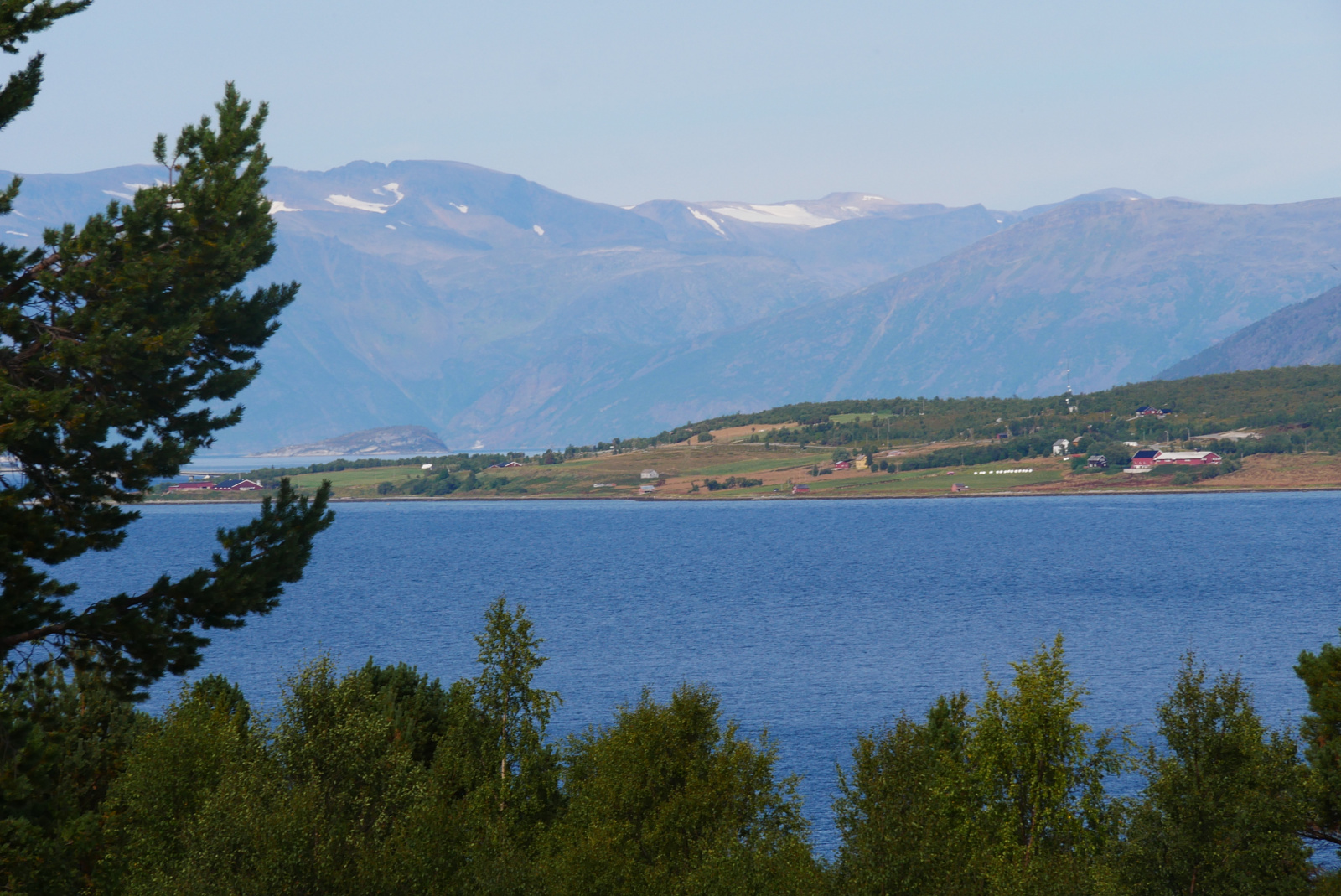 Klicke auf die Grafik für eine vergrößerte Ansicht

Name: P1070490.jpg
Ansichten: 147
Größe: 706,1 KB
ID: 3364127