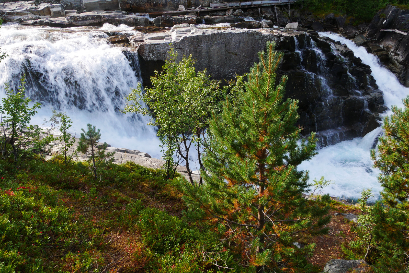 Klicke auf die Grafik für eine vergrößerte Ansicht

Name: P1070494.jpg
Ansichten: 149
Größe: 1,31 MB
ID: 3364128