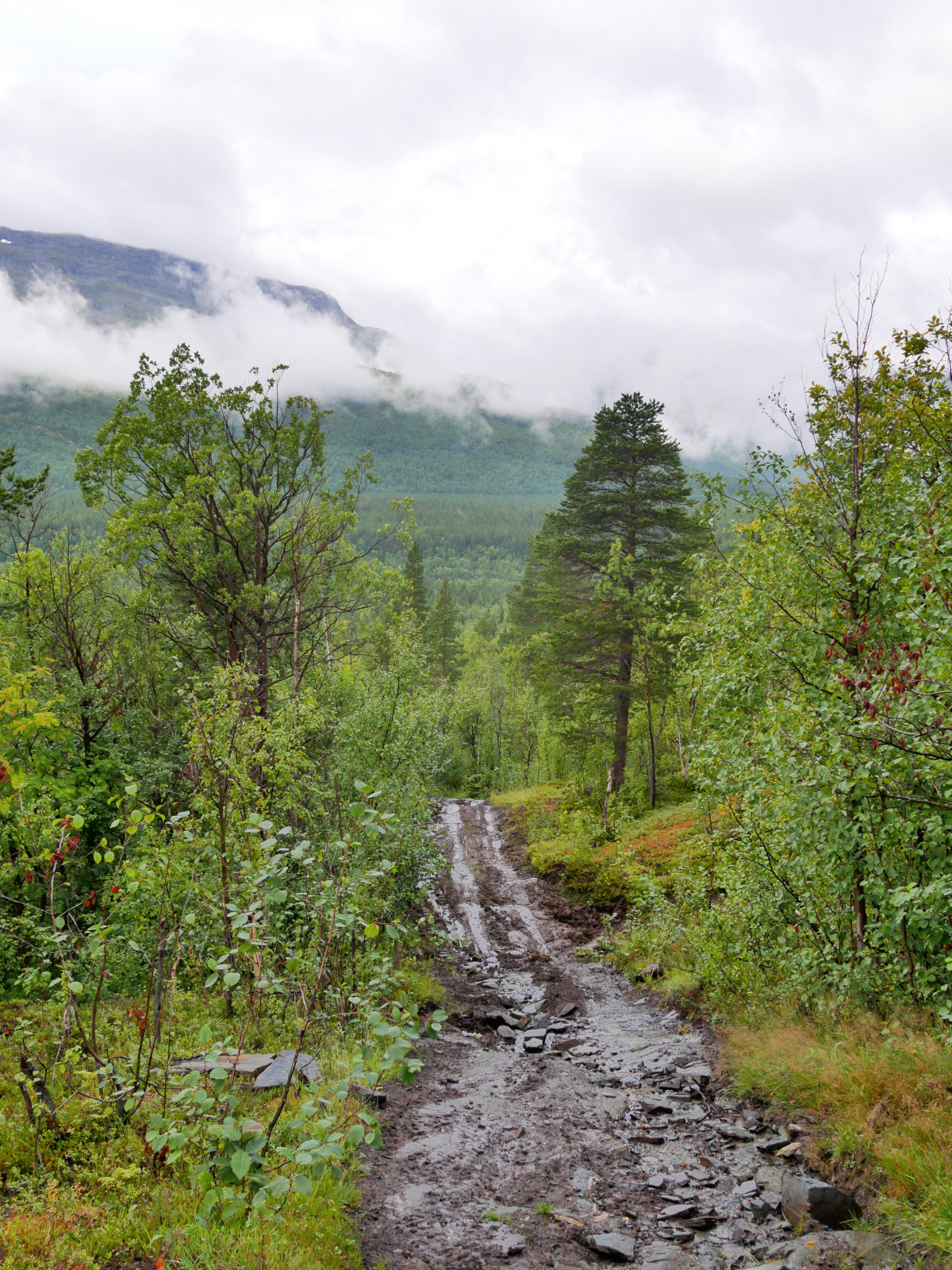 Klicke auf die Grafik für eine vergrößerte Ansicht

Name: P1150358.jpg
Ansichten: 145
Größe: 1,24 MB
ID: 3364137