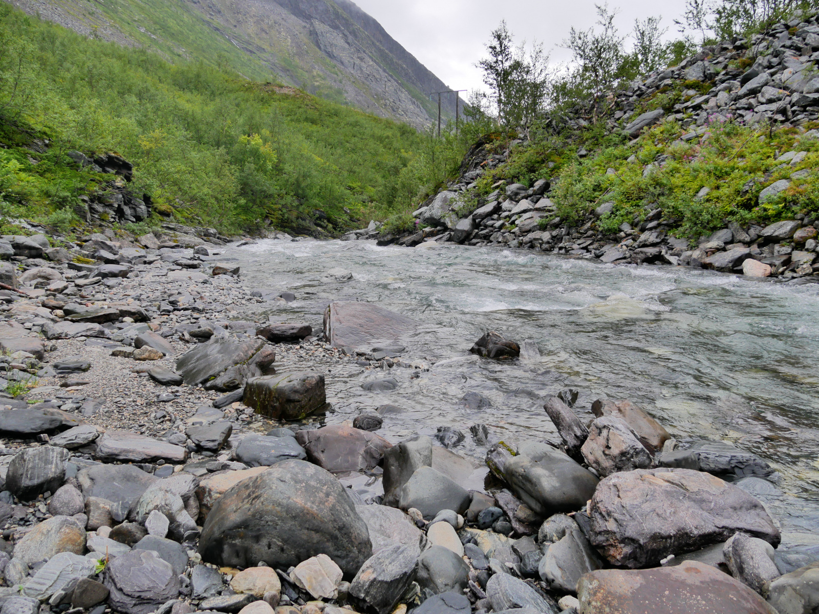 Klicke auf die Grafik für eine vergrößerte Ansicht

Name: P1150370.jpg
Ansichten: 142
Größe: 1,28 MB
ID: 3364141