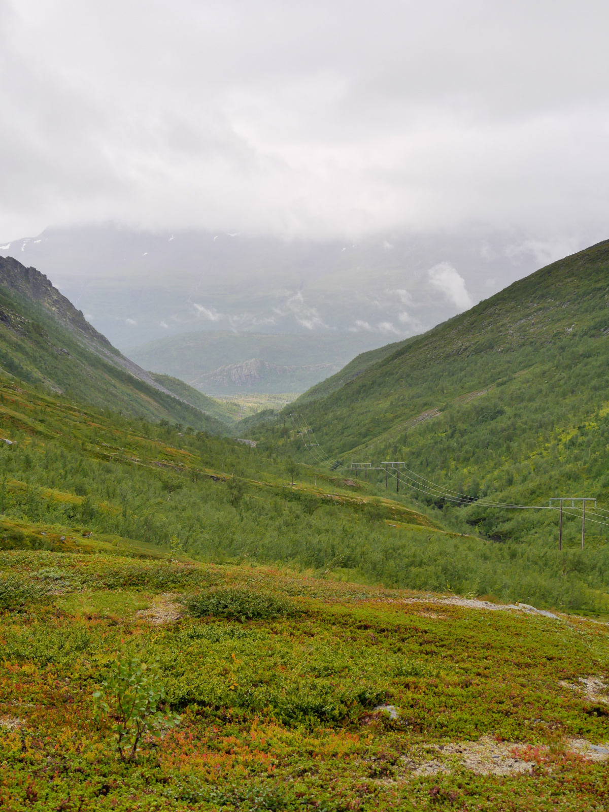 Klicke auf die Grafik für eine vergrößerte Ansicht

Name: P1150371.jpg
Ansichten: 145
Größe: 974,6 KB
ID: 3364142