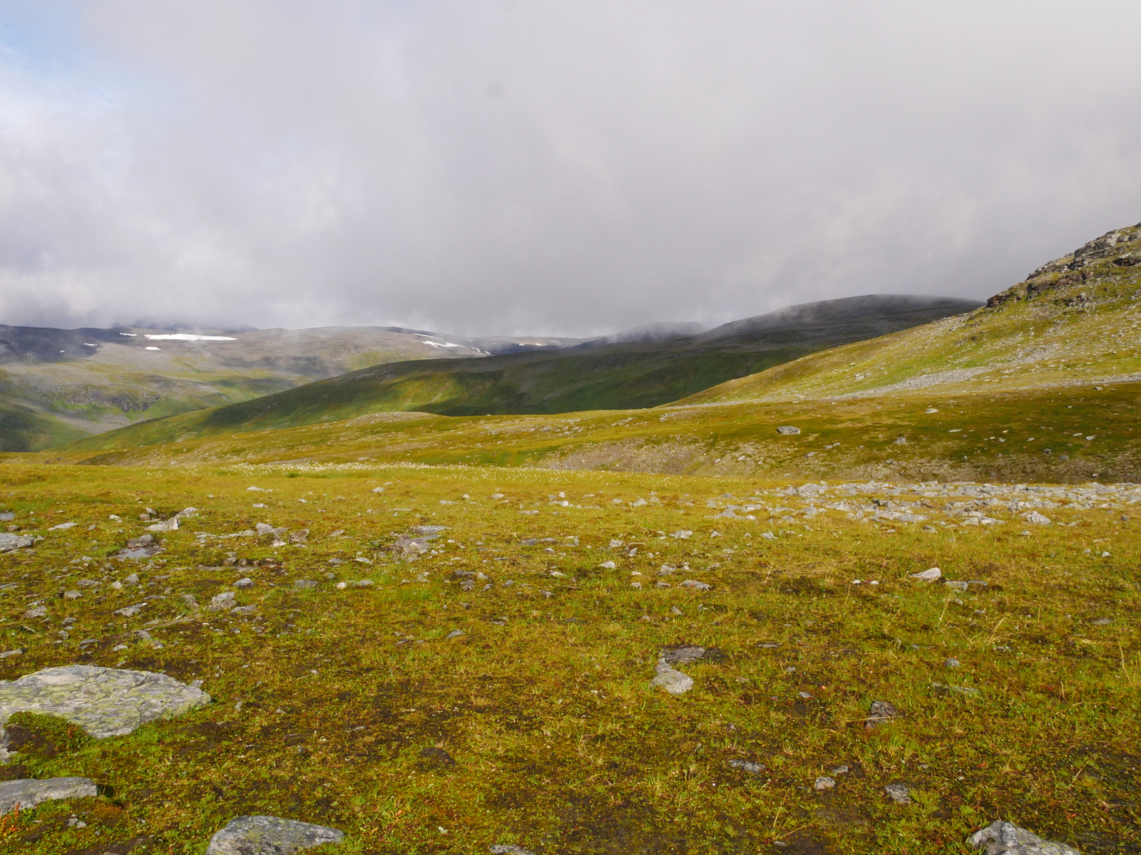 Klicke auf die Grafik für eine vergrößerte Ansicht

Name: P1150376.jpg
Ansichten: 144
Größe: 1,01 MB
ID: 3364146