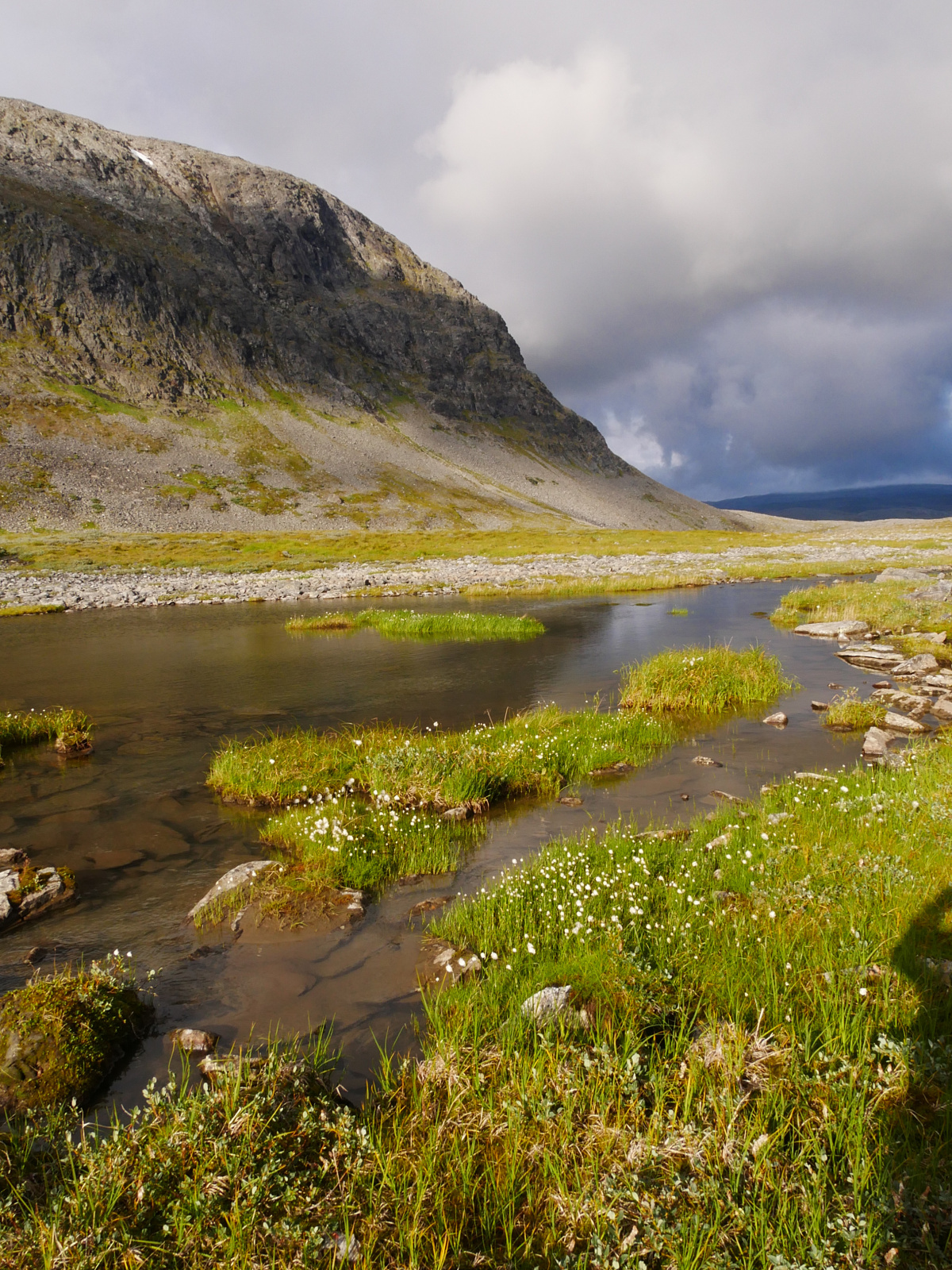 Klicke auf die Grafik für eine vergrößerte Ansicht

Name: P1150390.jpg
Ansichten: 141
Größe: 1,12 MB
ID: 3364158